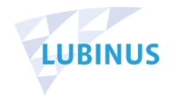 Lubinus Stiftung